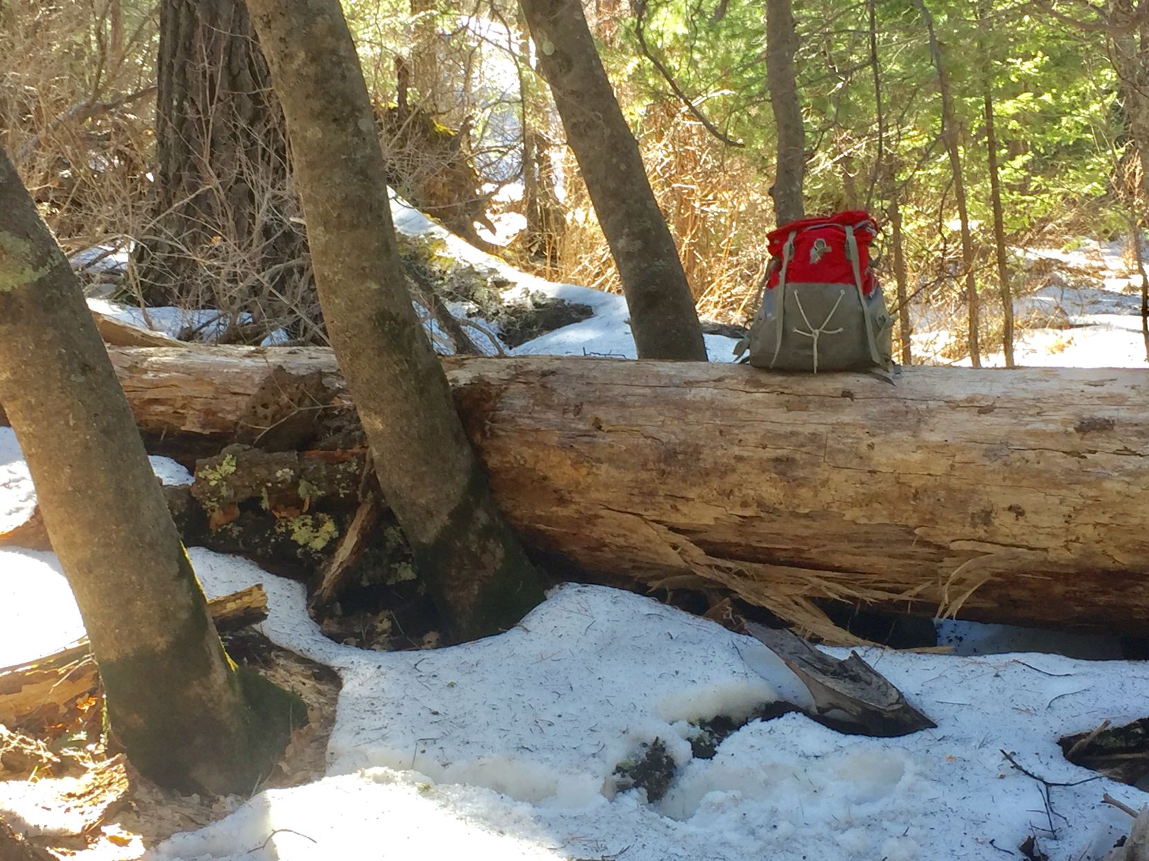 Snow still in the Catalina Mountains